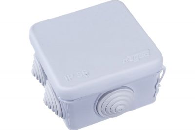 54686004